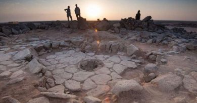 Bread Existed 4000 Years Before Agriculture, Archaeologists Discover